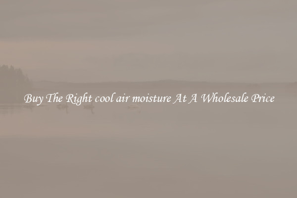 Buy The Right cool air moisture At A Wholesale Price