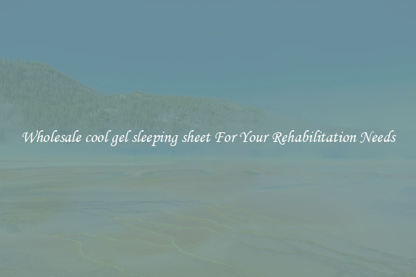 Wholesale cool gel sleeping sheet For Your Rehabilitation Needs