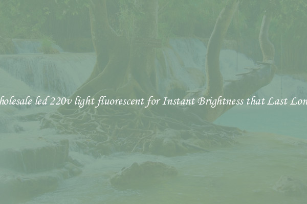 Wholesale led 220v light fluorescent for Instant Brightness that Last Longer