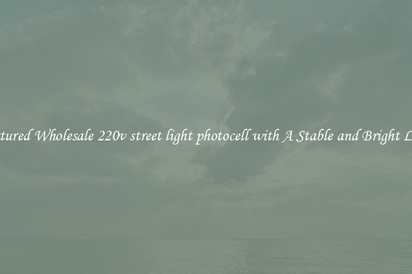 Featured Wholesale 220v street light photocell with A Stable and Bright Light