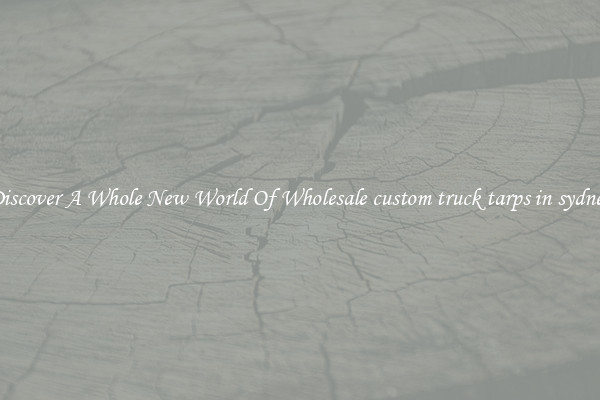 Discover A Whole New World Of Wholesale custom truck tarps in sydney