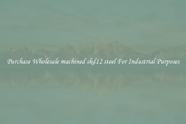 Purchase Wholesale machined skd12 steel For Industrial Purposes