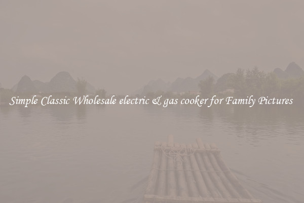 Simple Classic Wholesale electric & gas cooker for Family Pictures 