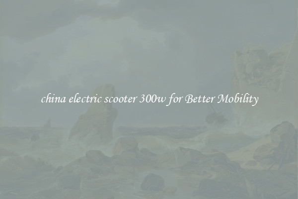 china electric scooter 300w for Better Mobility