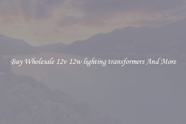 Buy Wholesale 12v 12w lighting transformers And More