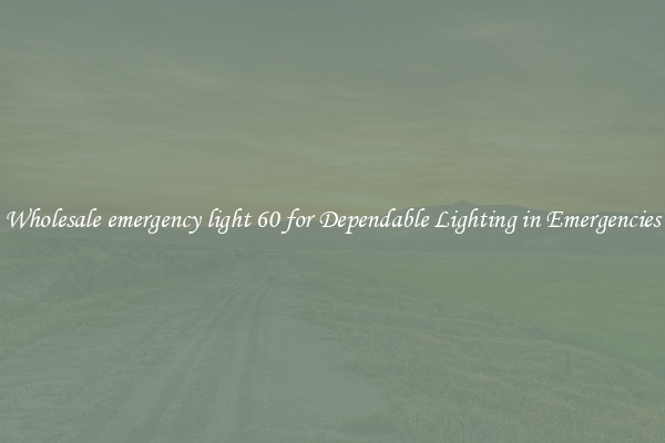 Wholesale emergency light 60 for Dependable Lighting in Emergencies