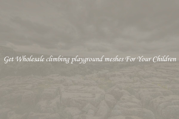 Get Wholesale climbing playground meshes For Your Children