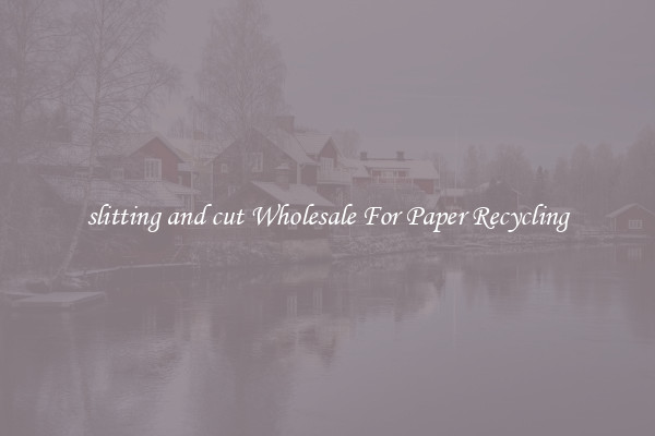 slitting and cut Wholesale For Paper Recycling