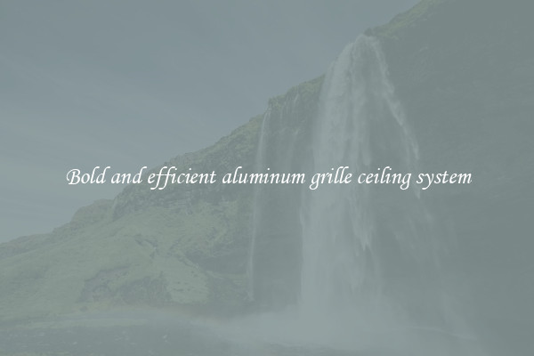 Bold and efficient aluminum grille ceiling system