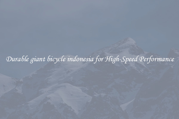 Durable giant bicycle indonesia for High-Speed Performance