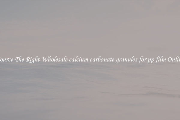 Source The Right Wholesale calcium carbonate granules for pp film Online