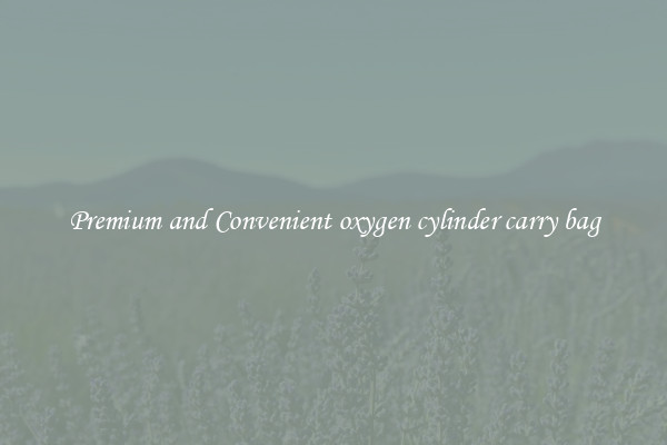 Premium and Convenient oxygen cylinder carry bag