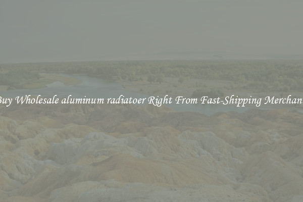 Buy Wholesale aluminum radiatoer Right From Fast-Shipping Merchants