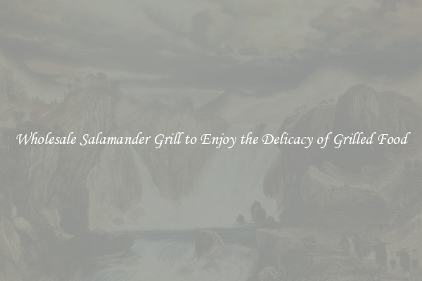 Wholesale Salamander Grill to Enjoy the Delicacy of Grilled Food