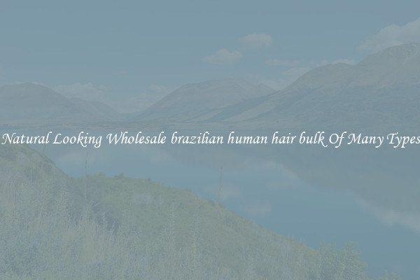Natural Looking Wholesale brazilian human hair bulk Of Many Types