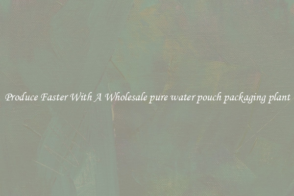 Produce Faster With A Wholesale pure water pouch packaging plant