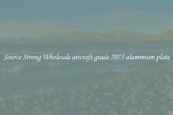 Source Strong Wholesale aircraft grade 7075 aluminium plate