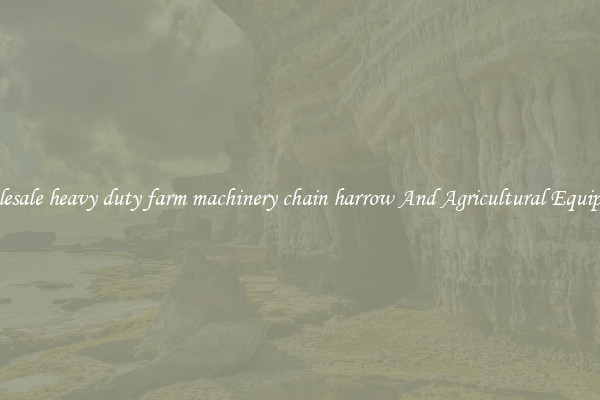Wholesale heavy duty farm machinery chain harrow And Agricultural Equipment