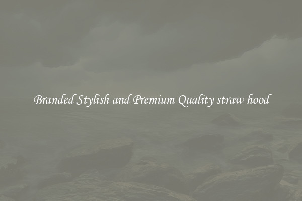 Branded Stylish and Premium Quality straw hood
