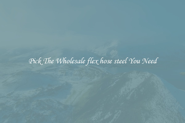 Pick The Wholesale flex hose steel You Need