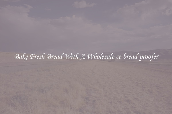 Bake Fresh Bread With A Wholesale ce bread proofer